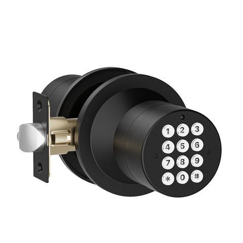 YL-99 Digital Keyless Door Knob Lock, Black/Silver