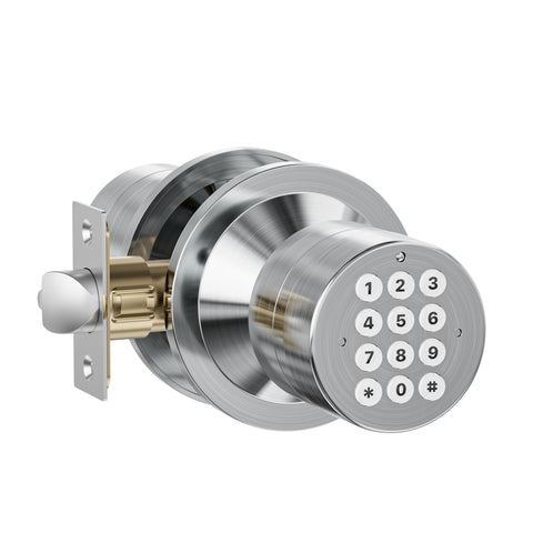 YL-99 Digital Keyless Door Knob Lock, Black/Silver