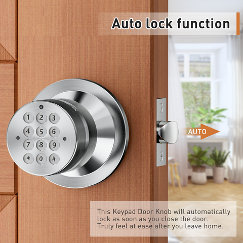 YL-99 Digital Keyless Door Knob Lock, Black/Silver