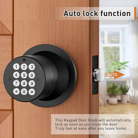 YL-99 Digital Keyless Door Knob Lock, Black/Silver