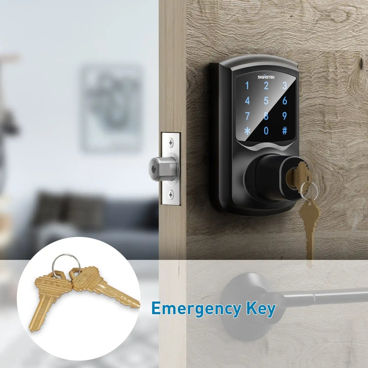 Best electronic keypad front door deadbolt lock and smart door lock 